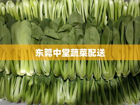 东莞中堂蔬菜配送