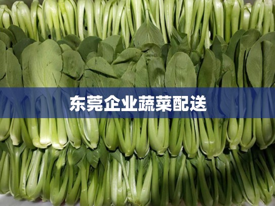 东莞企业蔬菜配送