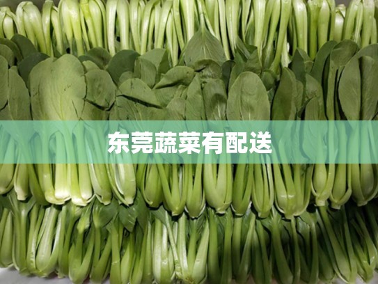 东莞蔬菜有配送
