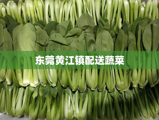 东莞黄江镇配送蔬菜