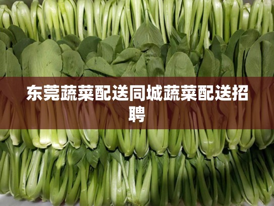 东莞蔬菜配送同城蔬菜配送招聘