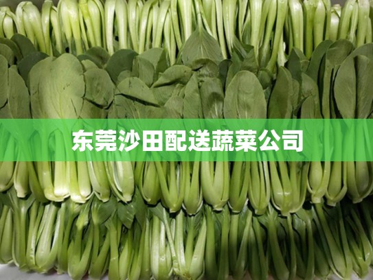 东莞沙田配送蔬菜公司