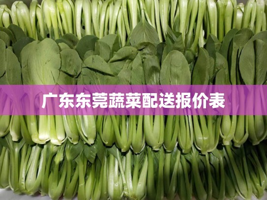 广东东莞蔬菜配送报价表