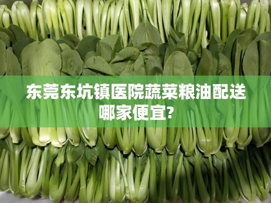 东莞东坑镇医院蔬菜粮油配送哪家便宜?