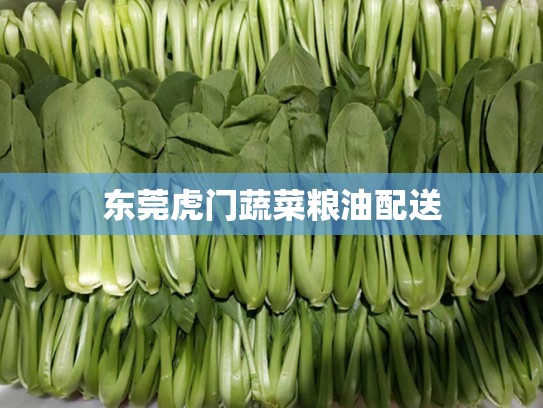 东莞虎门蔬菜粮油配送