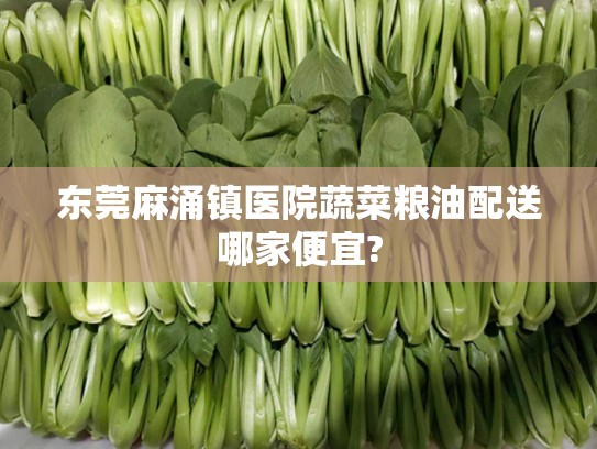 东莞麻涌镇医院蔬菜粮油配送哪家便宜?
