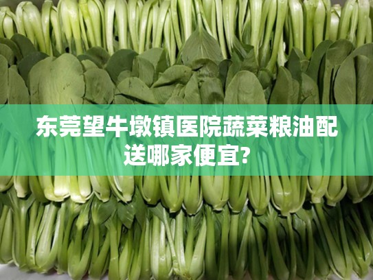 东莞望牛墩镇医院蔬菜粮油配送哪家便宜?