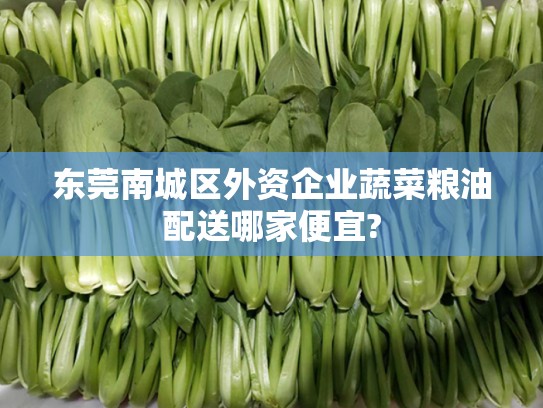 东莞南城区外资企业蔬菜粮油配送哪家便宜?