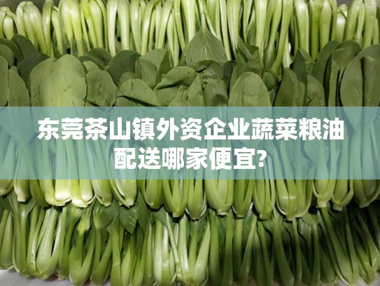 东莞茶山镇外资企业蔬菜粮油配送哪家便宜?