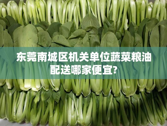 东莞南城区机关单位蔬菜粮油配送哪家便宜?