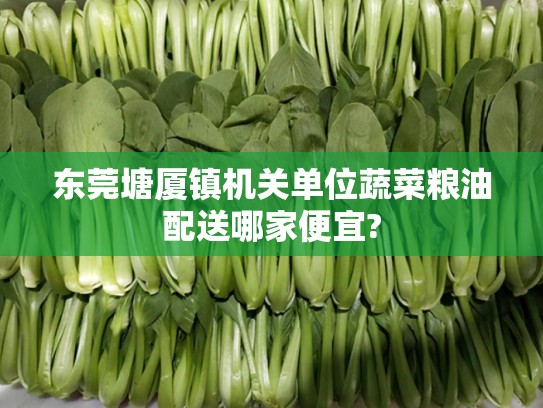 东莞塘厦镇机关单位蔬菜粮油配送哪家便宜?