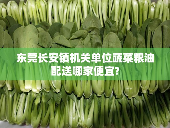 东莞长安镇机关单位蔬菜粮油配送哪家便宜?