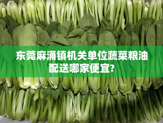 东莞麻涌镇机关单位蔬菜粮油配送哪家便宜?