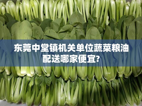 东莞中堂镇机关单位蔬菜粮油配送哪家便宜?