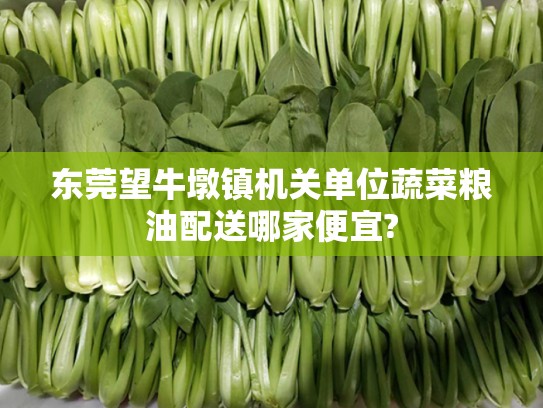 东莞望牛墩镇机关单位蔬菜粮油配送哪家便宜?