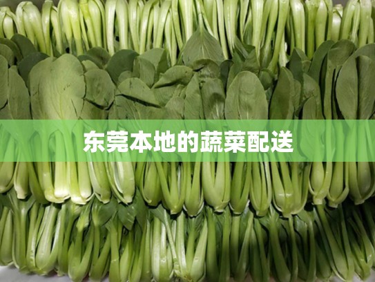 东莞本地的蔬菜配送