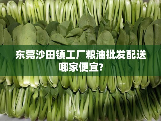 东莞沙田镇工厂粮油批发配送哪家便宜?