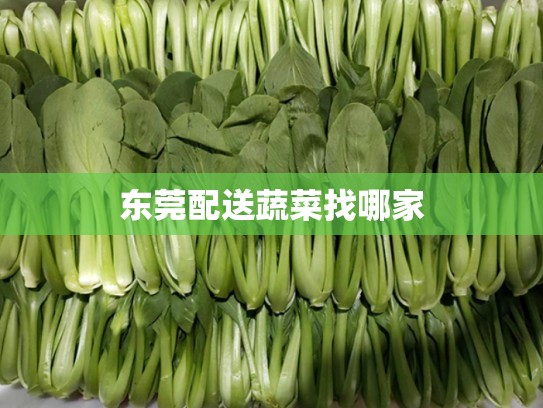 东莞配送蔬菜找哪家