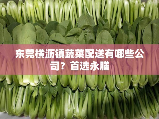 东莞横沥镇蔬菜配送有哪些公司？首选永膳