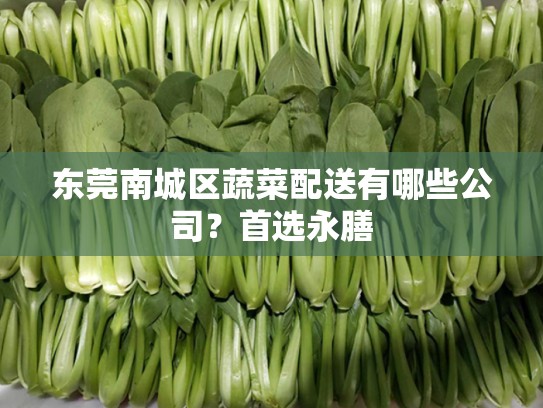 东莞南城区蔬菜配送有哪些公司？首选永膳
