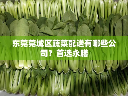 东莞莞城区蔬菜配送有哪些公司？首选永膳
