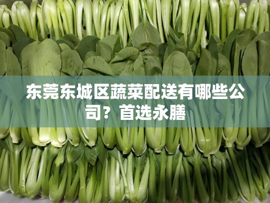 东莞东城区蔬菜配送有哪些公司？首选永膳