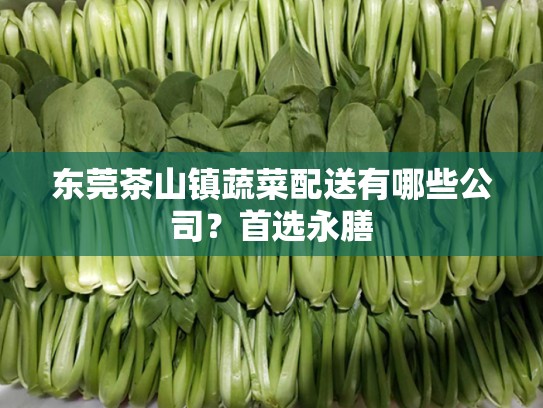 东莞茶山镇蔬菜配送有哪些公司？首选永膳