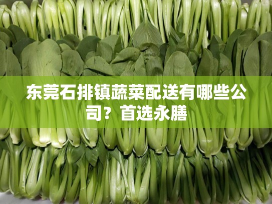东莞石排镇蔬菜配送有哪些公司？首选永膳