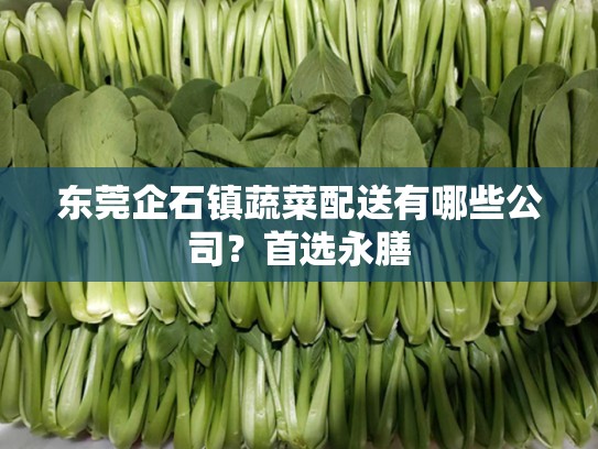 东莞企石镇蔬菜配送有哪些公司？首选永膳