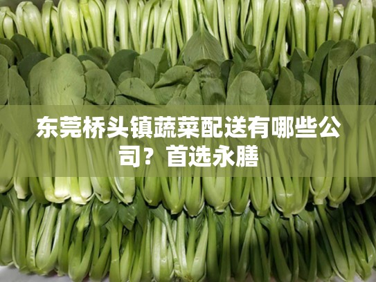 东莞桥头镇蔬菜配送有哪些公司？首选永膳