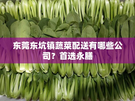 东莞东坑镇蔬菜配送有哪些公司？首选永膳