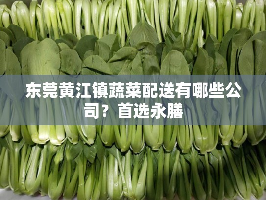 东莞黄江镇蔬菜配送有哪些公司？首选永膳