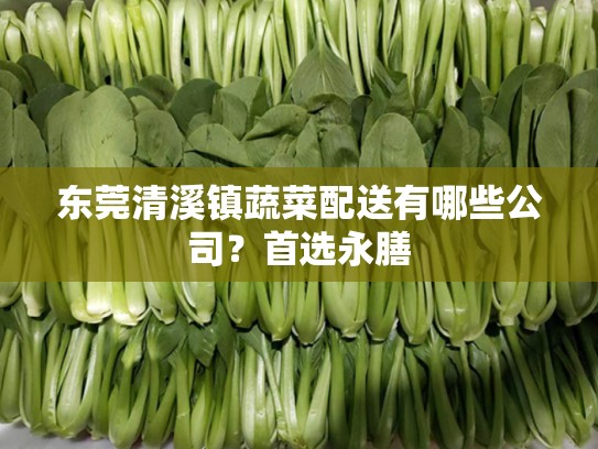 东莞清溪镇蔬菜配送有哪些公司？首选永膳