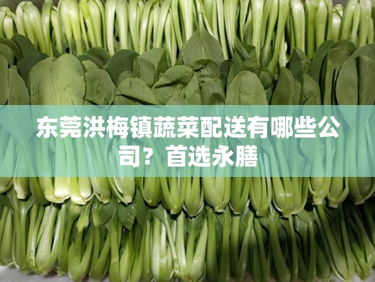 东莞洪梅镇蔬菜配送有哪些公司？首选永膳