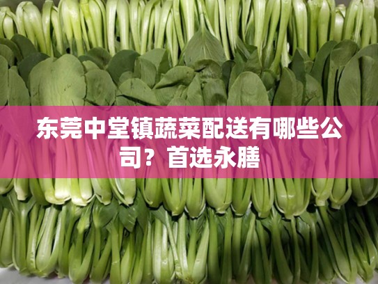 东莞中堂镇蔬菜配送有哪些公司？首选永膳