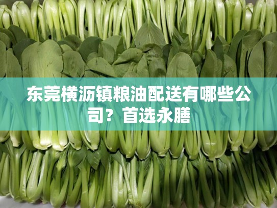 东莞横沥镇粮油配送有哪些公司？首选永膳