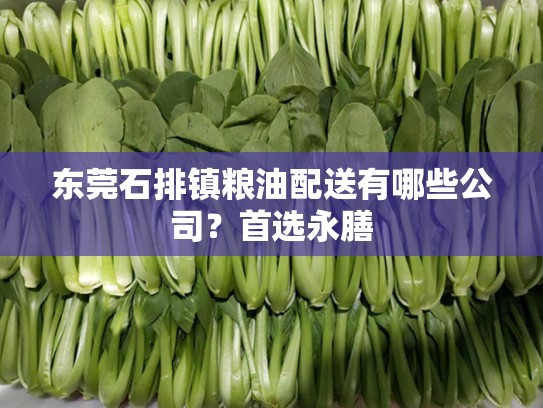 东莞石排镇粮油配送有哪些公司？首选永膳
