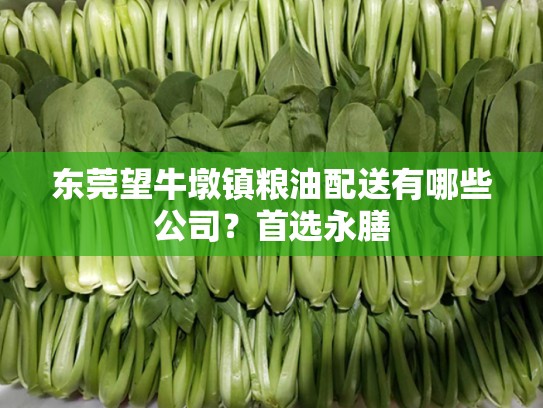 东莞望牛墩镇粮油配送有哪些公司？首选永膳