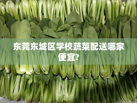 东莞东城区学校蔬菜配送哪家便宜?