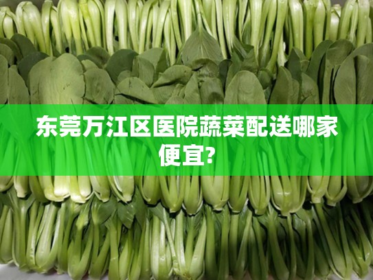 东莞万江区医院蔬菜配送哪家便宜?