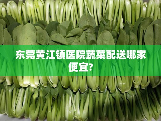 东莞黄江镇医院蔬菜配送哪家便宜?