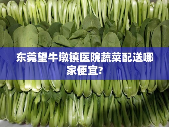 东莞望牛墩镇医院蔬菜配送哪家便宜?