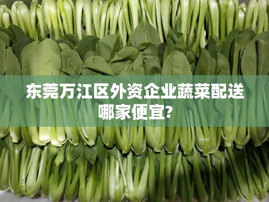 东莞万江区外资企业蔬菜配送哪家便宜?