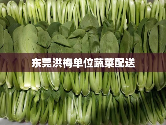 东莞洪梅单位蔬菜配送