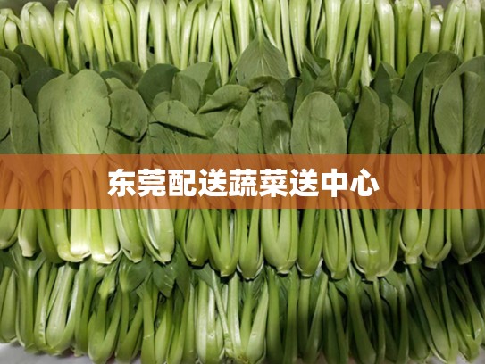 东莞配送蔬菜送中心