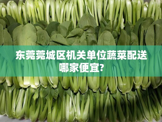 东莞莞城区机关单位蔬菜配送哪家便宜?
