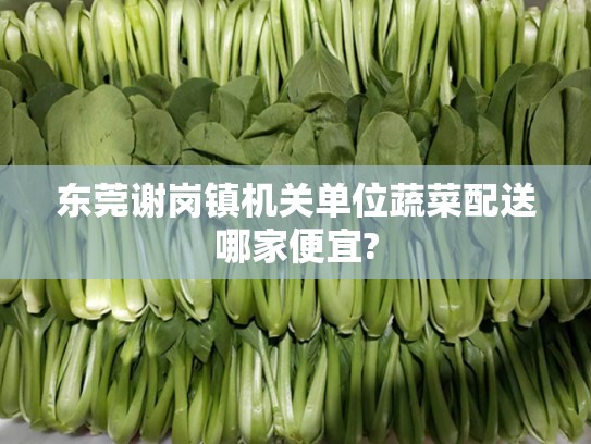 东莞谢岗镇机关单位蔬菜配送哪家便宜?