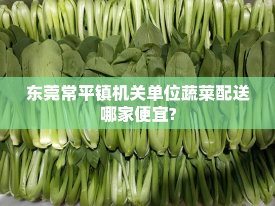东莞常平镇机关单位蔬菜配送哪家便宜?