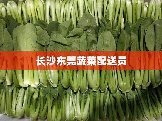 长沙东莞蔬菜配送员