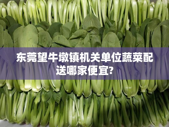 东莞望牛墩镇机关单位蔬菜配送哪家便宜?